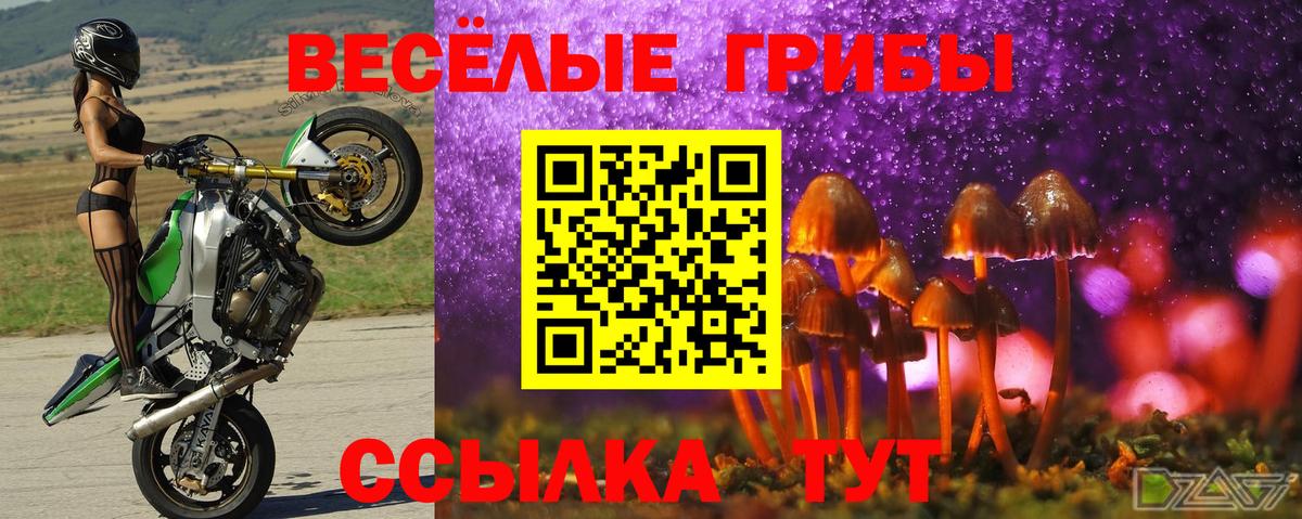сколько стоит  Псилоцибиновые грибы MAGIC MUSHROOMS  Вход с VPN  Михайловск 